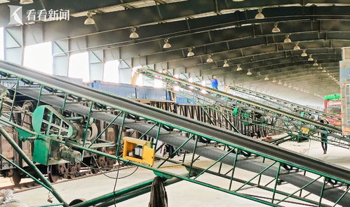 定制化貨運產品 哈鐵為重點物資運輸 加速度